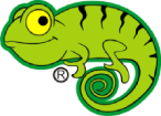 Lizard The Brand