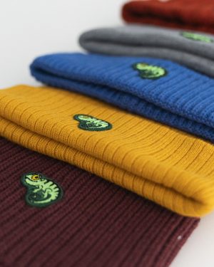 Gorros
